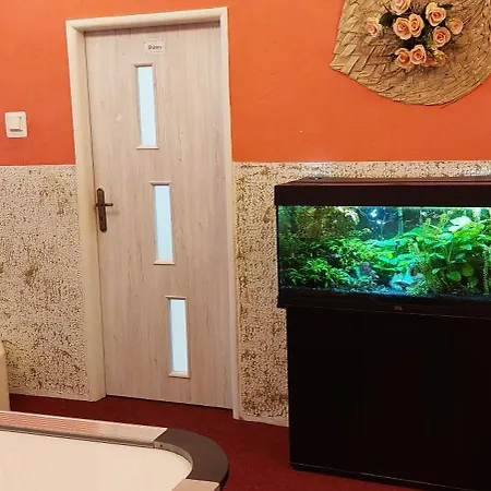 Ruprechtice * Mezimesti